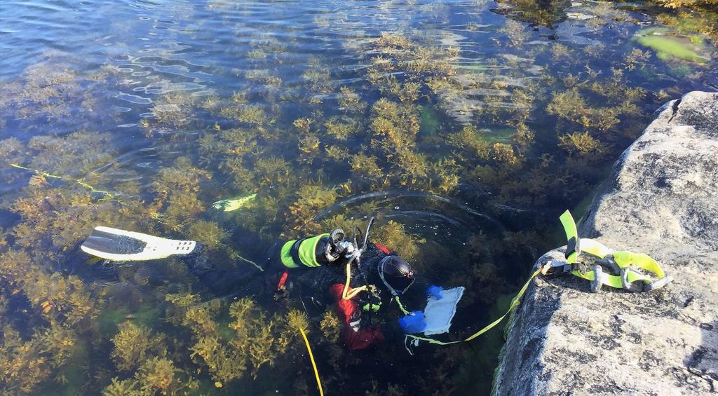 Metoden innebär att en dykande biolog inventerar en tänkt korridor längs måttbandet på botten. Korridoren är sex till tio meter bred, alltså tre till fem meter på vardera sidan om måttbandet.