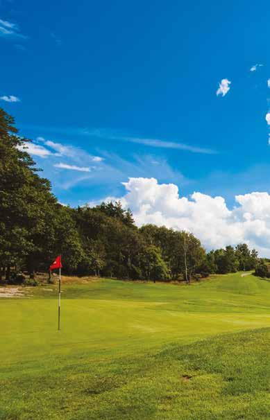 Företag, kompisgäng, familj? Ett golfarrangemang kan vara litet eller stort, ni går ut i en mindre grupp och spelar en runda, med eller utan tävling, ni äter och umgås, mer behöver det inte vara.