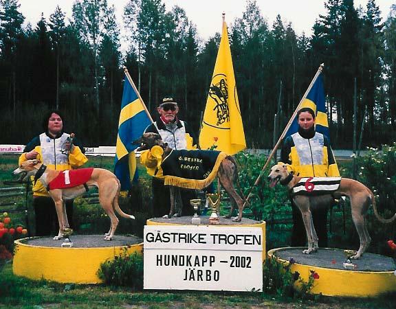 bägge vann på 31.57, trea Abrakadabra, 21.89. Midsommar i Älvsbyn och det var Älvsbylop- pet för greyhound och whippet, som var huvudloppen. Det kördes 9 lopp.