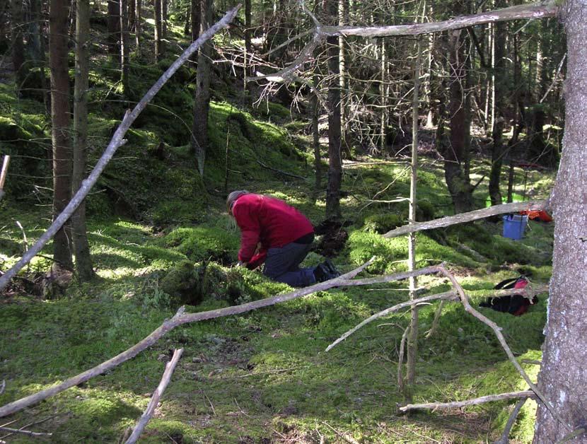 uv väst rapport 2010:12 arkeologisk utredning Ett skogsområde i