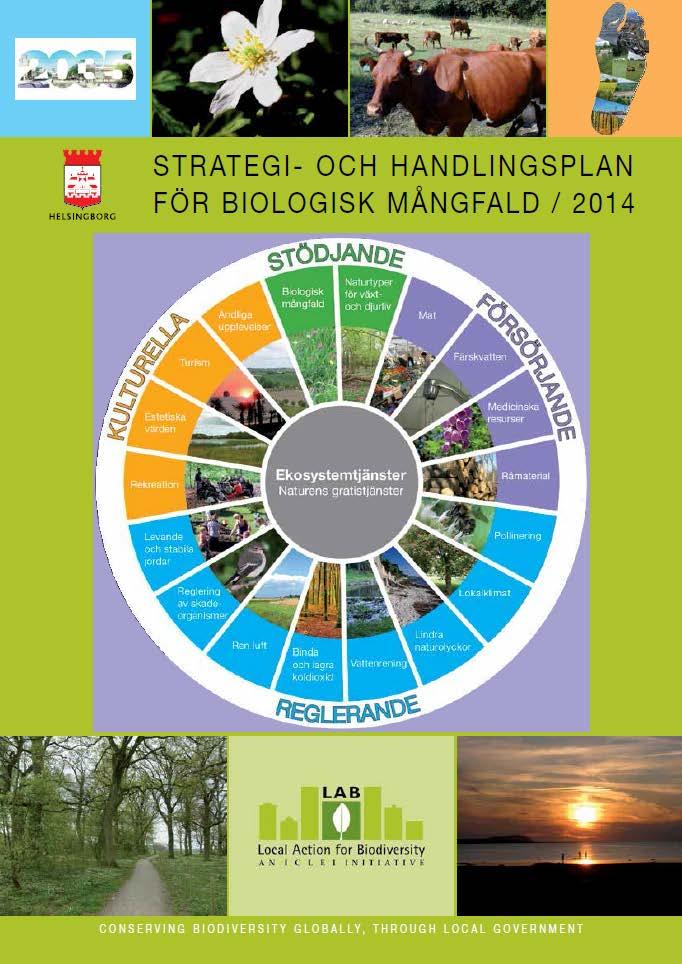 STADSBYGGNADSFÖRVALTNINGEN LAB för Helsingborg Local Action for Biodiversity