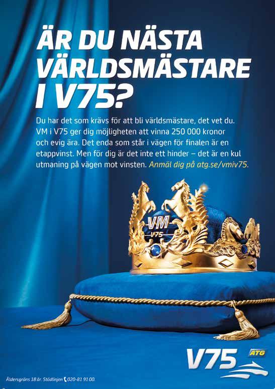 REKORDFESTEN.