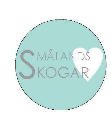 Bilaga 2 PROJEKTORGANISATION i arbetet med att