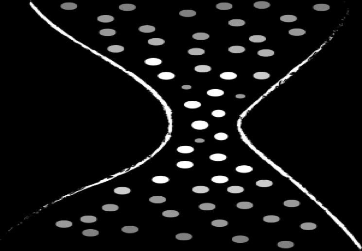 SPECILALISATION IN