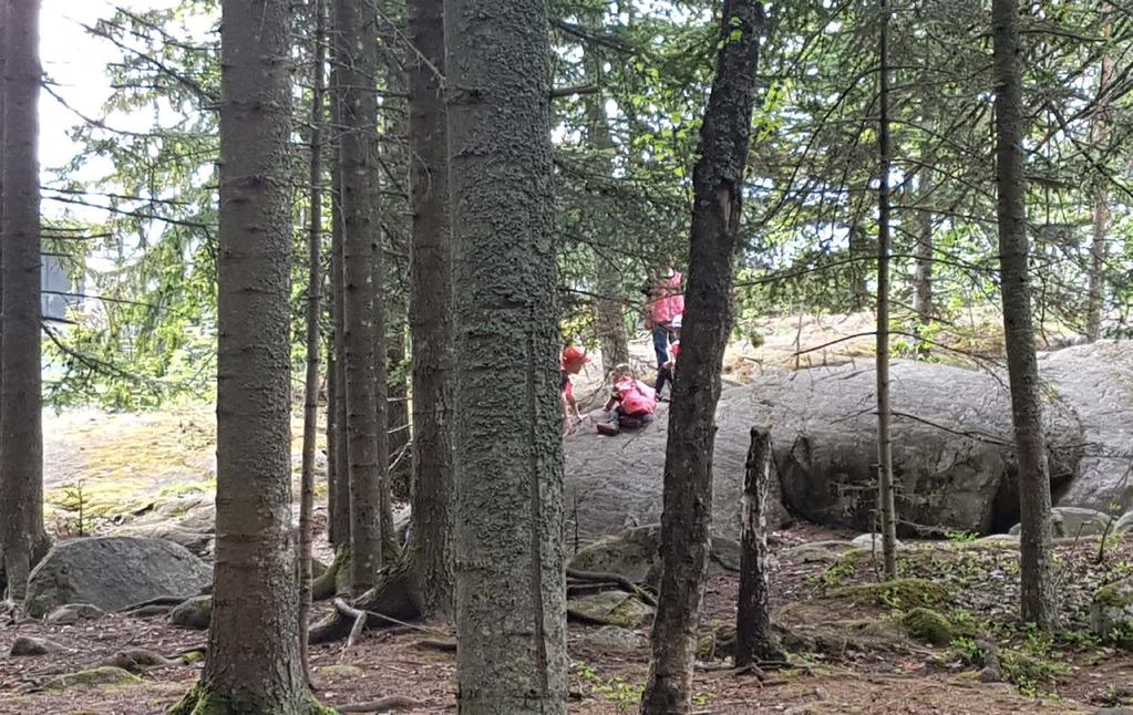 BILDER FRÅN