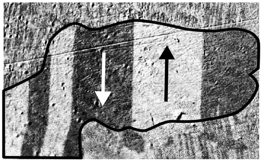 Moving domain walls in a grain of electrical steel (Fe-Si) driven by an external magnetic field.