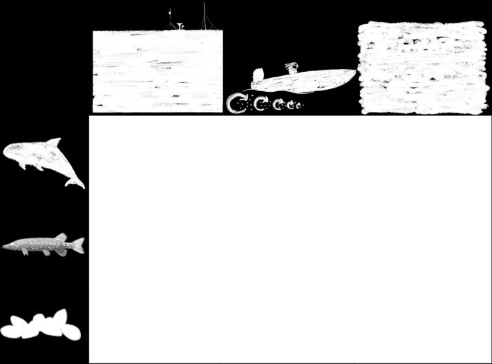 negative impact in the area / ecosystem component Overlapping