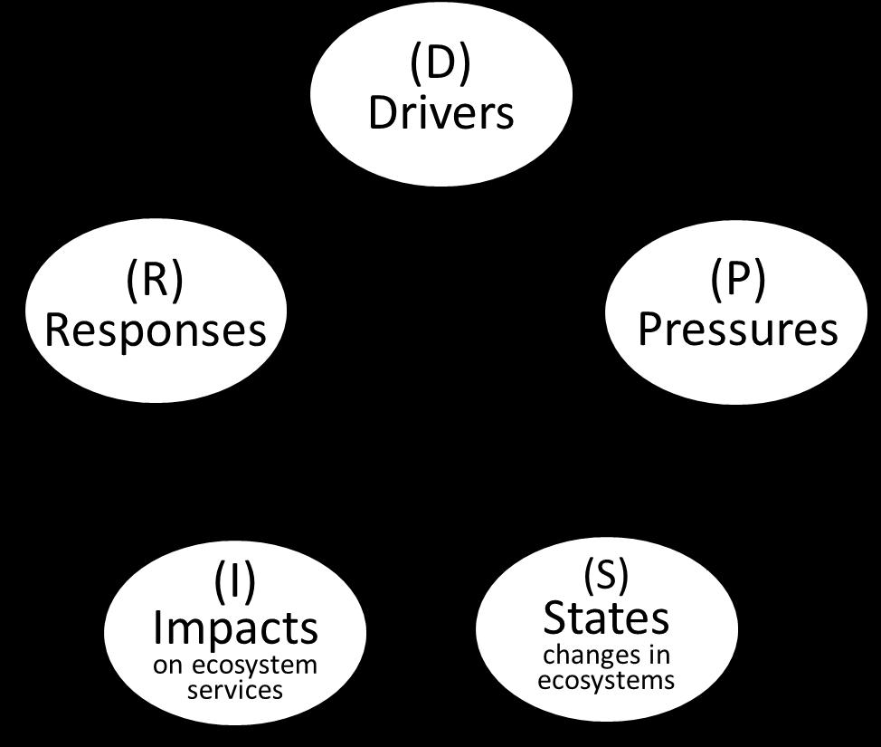DPSIR Biotic Ecosystem Component Sensitivity matrix Driving forces: Recreation Standard of living
