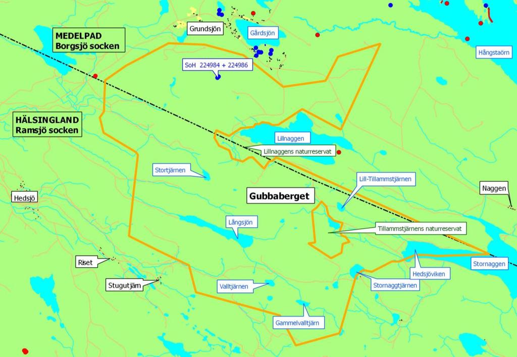 fornar, övriga kulturhistoriska ar och andra kulturhistorisk spår efter verksamheter från äldre tid. Den antikvariska besiktningen/kontrollen i fält ägde rum 23 27 juli och 9 10 augusti 2012.