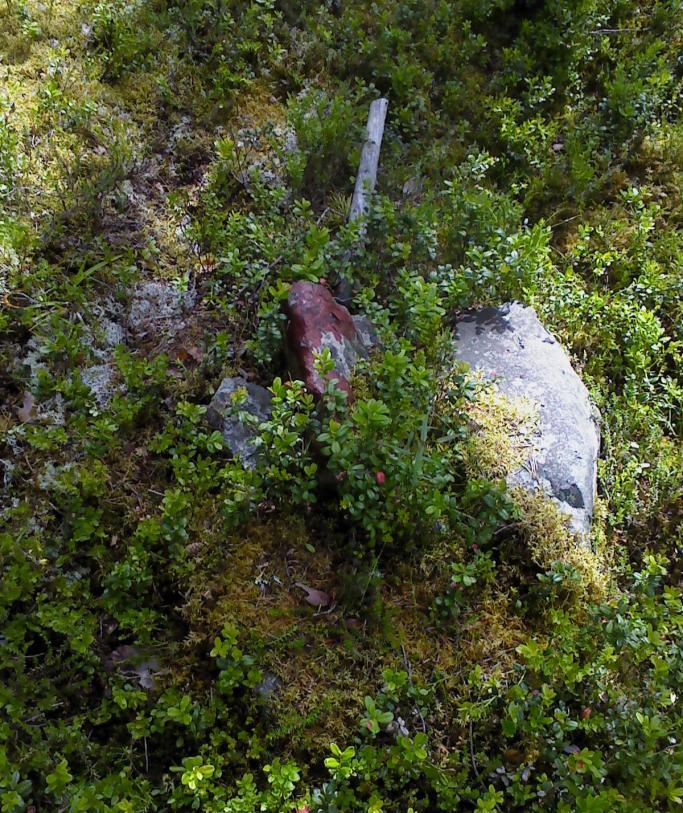 Gränsmärken Gränsmarkeringar mellan fastigheter, byar, socknar, landskap eller län kan bestå av lagda rösen alternativt enstaka kantställda eller resta stenar (Blomqvist 2007; Olsson 2008).