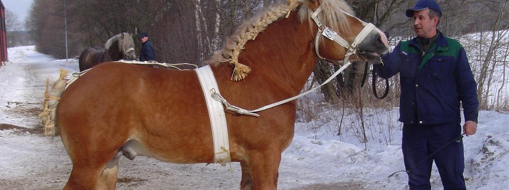 lyckad dag med mycket aktiviteter.