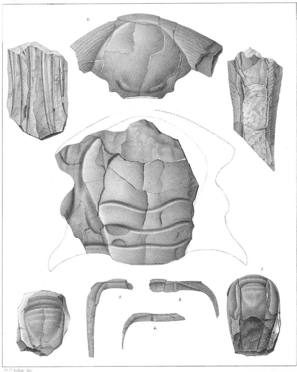 Svenges Geologiska Undersöknine