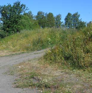 Det finns bilväg ända ner till stranden samt plats att parkera med bil.