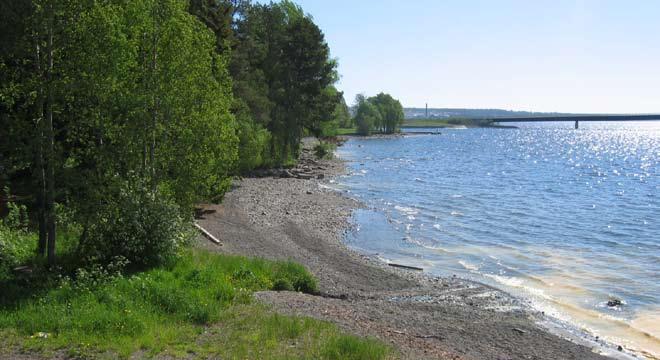 slutsats - badstränder badstränder Göviken Flera förslag har inkommit gällande önskemål om utvecklande av en central badstrand, vilket också till en del har legat till grund för detta projekt.