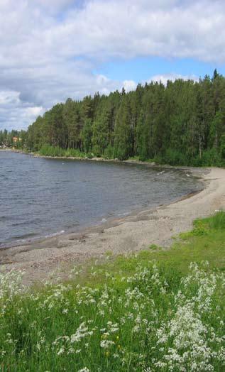 slutsats - badstränder Göviken Området är en naturlig vik norr om Östersund. Här finns finkotnigt grus och ett skogsbälte som delar av området från Lugnviksvägen.