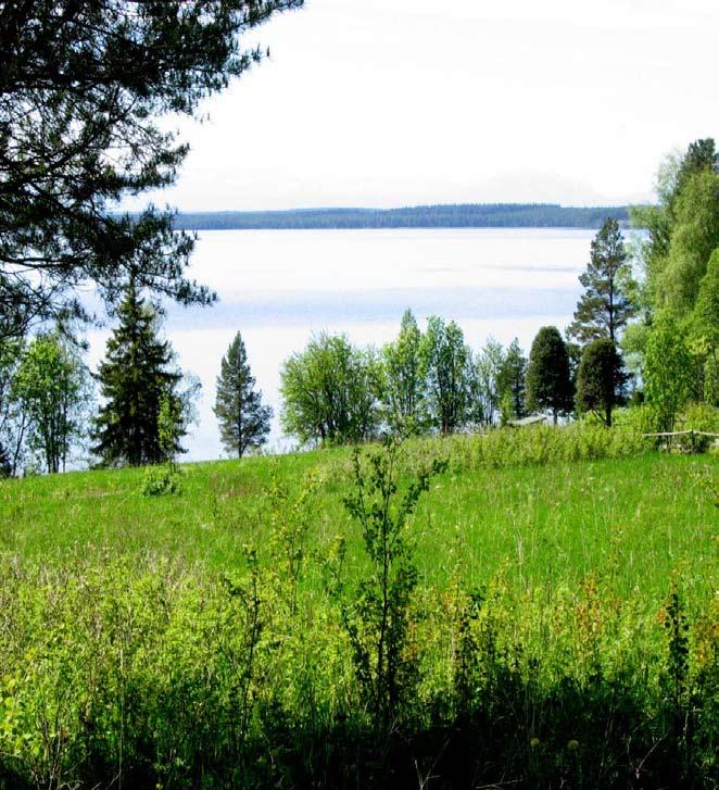 storsjölandskapet Det är inte konstigt att Storsjön med dess omnejd, Storsjöbygden, har lockat människor att bosätta sig här.