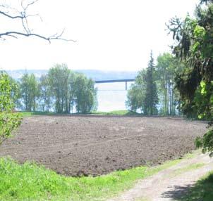 Bland högre växter dominerar lingon, kruståtel, fårsvingel, bergsyra, stensöta och vårspärgel.