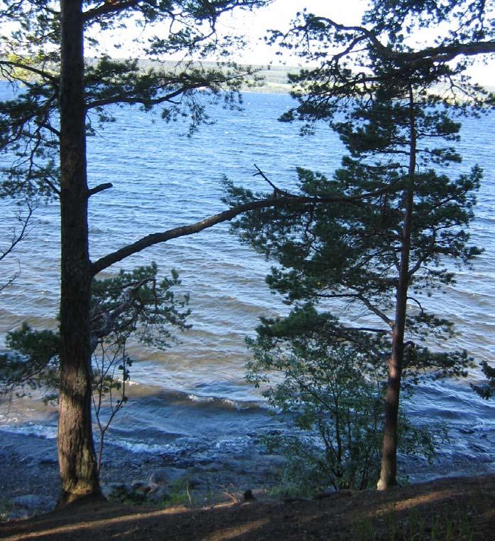 strandanalys Sjöutsikt från promenadstigen i Söderskogen. Hur har stränderna påverkats av stads-utvecklingen? Vilka platser är viktiga idag, och var finns de största problemen?