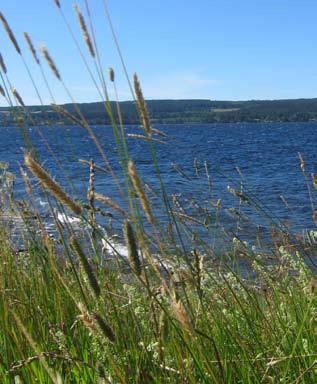 storsjölandskapet - strandstråk strandstråk STRANDSTRÅK Lugnviksstråket å Vallsundet/Härke Frösöstråket STORSJÖN Storsjöstråket Se förstoring, bilaga nr. 2.