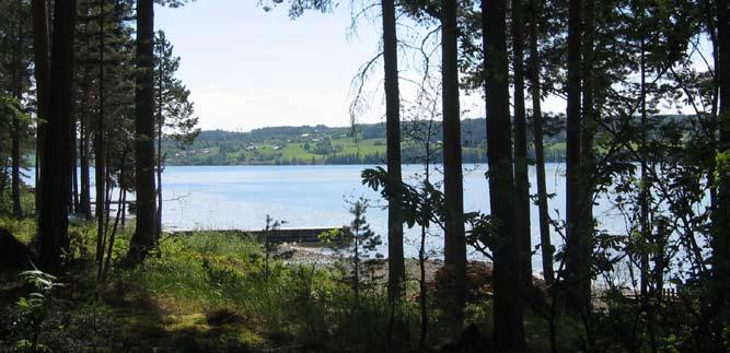 strandområden - frösön Kvalitéer Vacker skogsmiljö. Området utgör ett större sammanhängande grönområde. Befintlig stig finns vid strandkanten. Bra busskommunikationer finns.