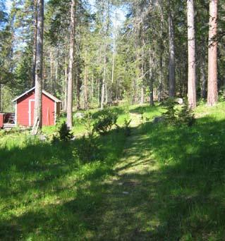 strandområden - frösön Förslag på möjliga åtgärder På vissa ställen löper stigen väldigt nära tomtgränserna varför det är extra viktigt att markera privat mark.