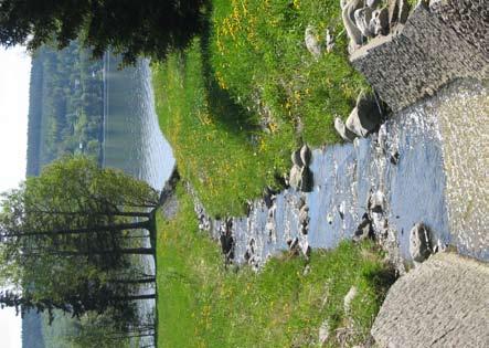 strandområden - frösön Naturvärden Även här har området en nära kontakt med det större grönområdet i norr. Detta skapar en grön korridor för både natur och rekreation.