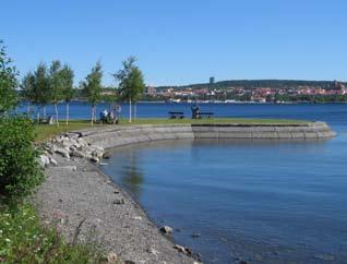 Storsjöodjursspaningsplats Natur Vegetation med olika arter av lägre träd och buskar har planterats längs stråket med bland annat poppel och rönnspirea.