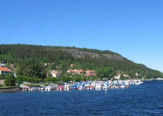 Stogen är sliten och bör förbättras med stenmjölsbeläggning och kantskärning. Sliten grusväg vid strandkanten. Trädplanteringar mot Norra Strandvägen.