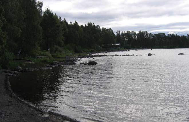 strandområden - lugnvik Strandområdena längs med Lugnviksvägen är lättillgängliga och skapar fina utblickar mot Storsjön.