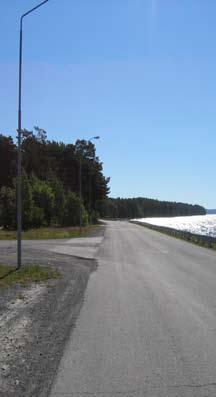 Naturvärden Området har liten andel vegetation och karaktäriseras snarare av ett grus- och asfaltlandskap. En del träd och buskar finns längs vägkanten.