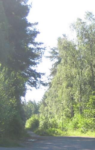 Söderskogen Strandängen 0 500 1000 m Söderskogen Vid Minnesgärdet börjar ett större grönområde som löper