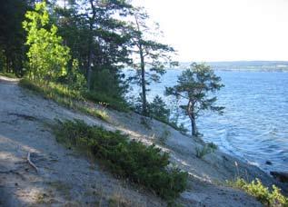 Gångoch cykelvägen kan däremot upplevas som mer monoton eftersom vegetationen inte förändras nämnvärt längs sträckan. Här kan man på vissa ställen öppna upp så att man kan skymta stranden.