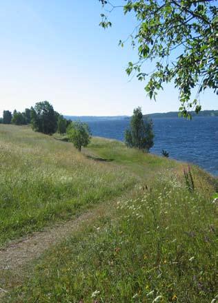 strandområden - odensala Naturvärden Det öppna landskapet är något som kan vara svårt att uppleva utan att det blir enformigt och tråkigt men här gör det sig mycket bra mycket beroende på utsikten.