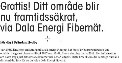 En inspektion och översyn av elnätet i bystugan har gjorts av ELiD AB, Elinstallationer i Djurås AB, tillsammans med föreningens arbetsgrupp.