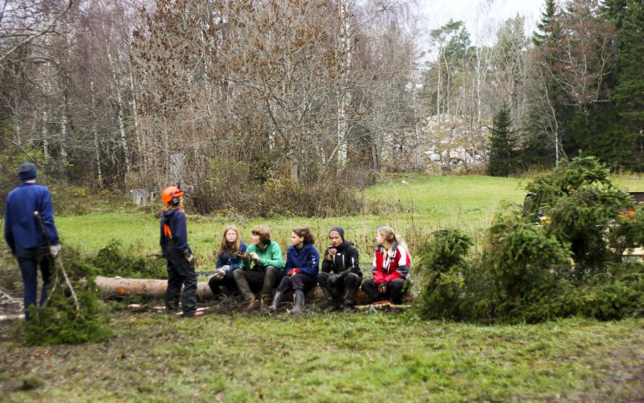 Vässarö Säsongen 2016 kommer gå till historien då vi hade en lång och härlig säsong med tältande scouter på ön hela sommaren utan avbrott.