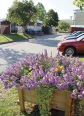 till bostadsområdet Kapellgatan på Lundbyområdet i Mjöby. Jag har alltid gillat blommor och växter, så det är jätteroligt att få smycka ut våra områden med planteringar, säger Pernilla.