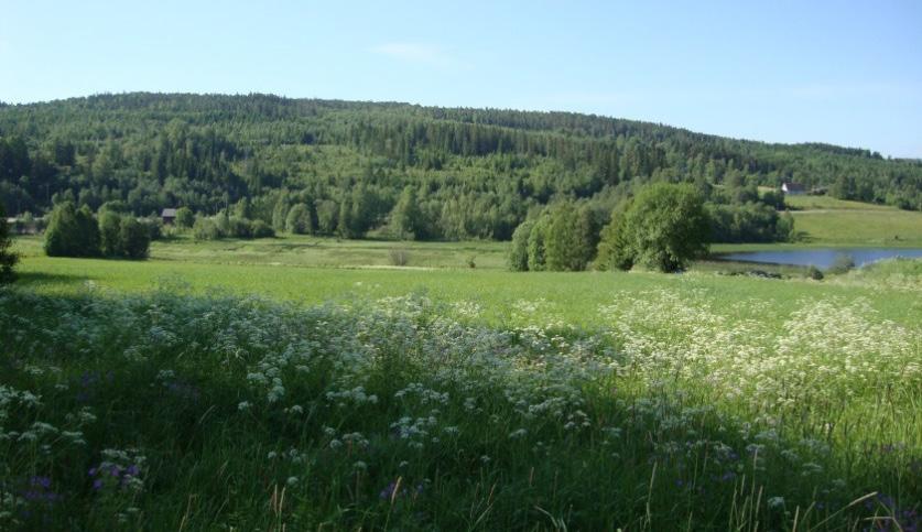 Fornlämningar finns i den nordöstra delen av området vilket innebär att arkeologiska utredningar måste göras innan detaljplanen påbörjas.