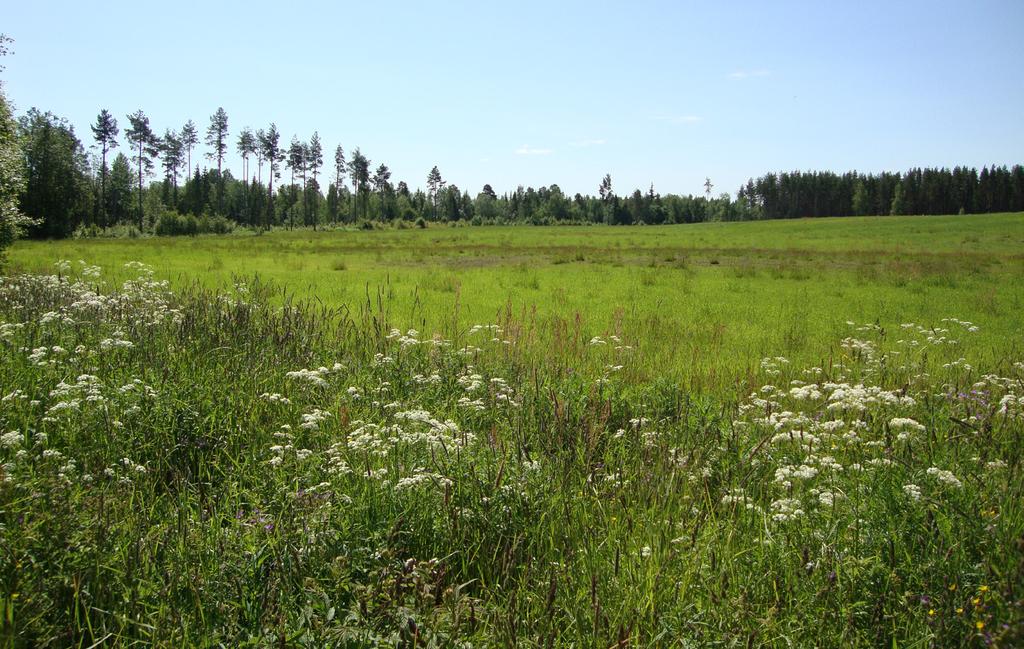Områden i Bergeforsen och Forsmon Ubo 8, Bergeforsen, väster om Lundebäcken. Området på cirka 4,5 hektar kan inrymma 20-30 småhus beroende på exploateringsgrad. Marken är privatägd.