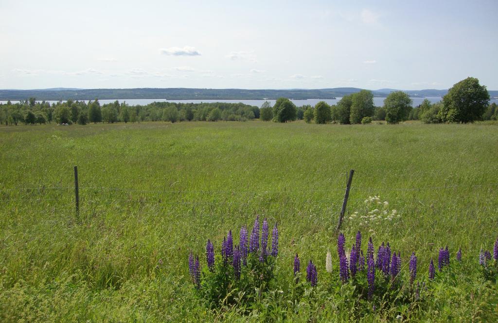 Ubo 13: Söråker, Gasabäck. Område om cirka 10 hektar som ligger cirka 500 meter från Klingerfjärden och som erbjuder fin utsikt mot Klingerfjärden.