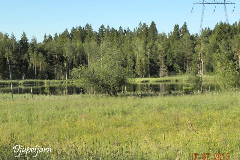 Lommar är dokumenterat känsliga för mänsklig påverkan i allmänhet, och vad gäller vindkraft rekomenderar SOF en skyddszon på en kilometer runt häckningssjöar.