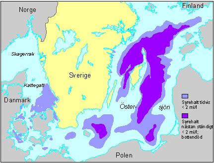 Fig. 2. Syresituationen i Östersjön. I de lila områdena är syresituationen dålig.