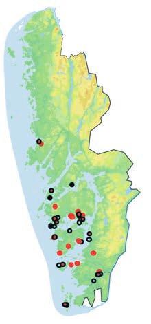 FALKBJÖRNBÄR att återfinna dem i terrängen. Alf disponerar sin tid fritt, men saknar bil och bor i Malmö.