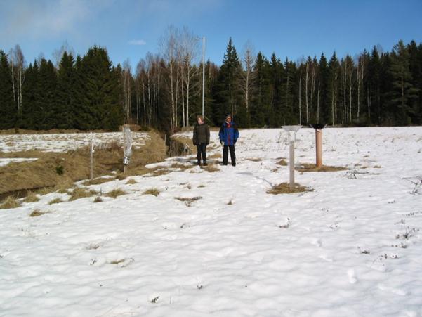 Vid Kvisterhult finns det knappt något fältlager, men det förekommer bl.a. ekorrbär, skogsstjärna, hundäxing och vårfryle.