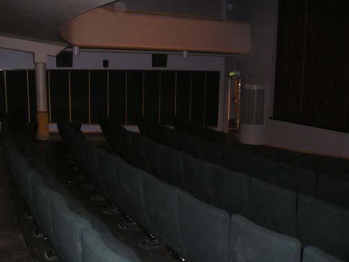 2 Personal och besökare Vid en utrymning från biografen skulle vanligtvis personalen komma in och se till att besökarna utrymde.