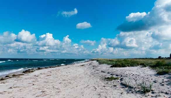 STRANDLIV De kilometerlånga vita sandstränderna längs Falsterbohalvöns kust är som gjorda för bad. Följande badplatser är EU-bad och här kontrolleras vattenkvaliteten regelbundet.