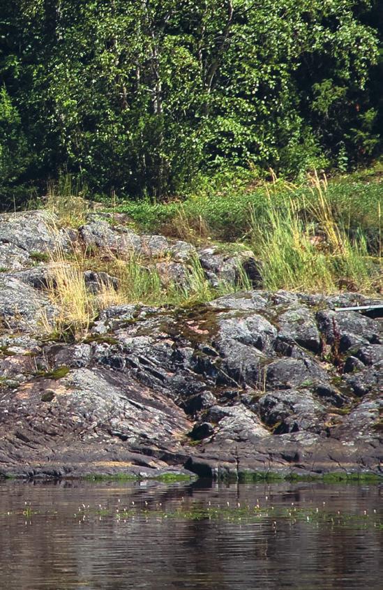 u OLONEUVOS Oloneuvos är vår populäraste stolpbrygga sedan flera decennier. Den är stabil och säker för både barn och äldre. Bryggan har gott om svängrum för såväl bad som vistelse.