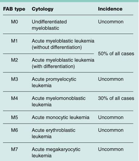 AML, ospecificerad (vanligast!