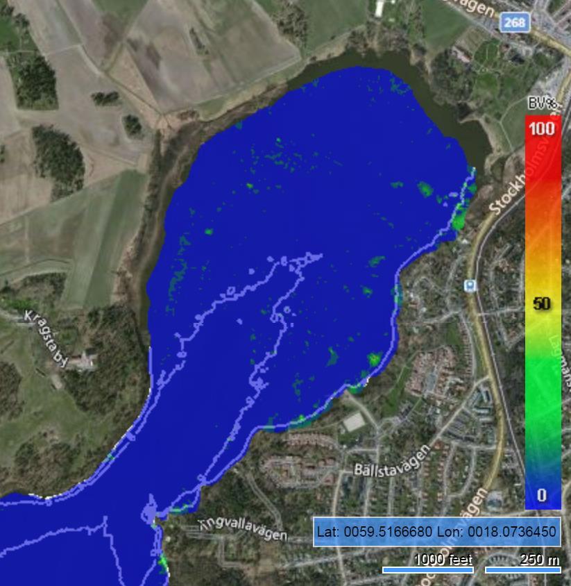 I norra delen av sjön (Kyrkviken) förekom mindre områden tät flytbladsvegetation (vattenpilört och gul näckros) närmast stranden.