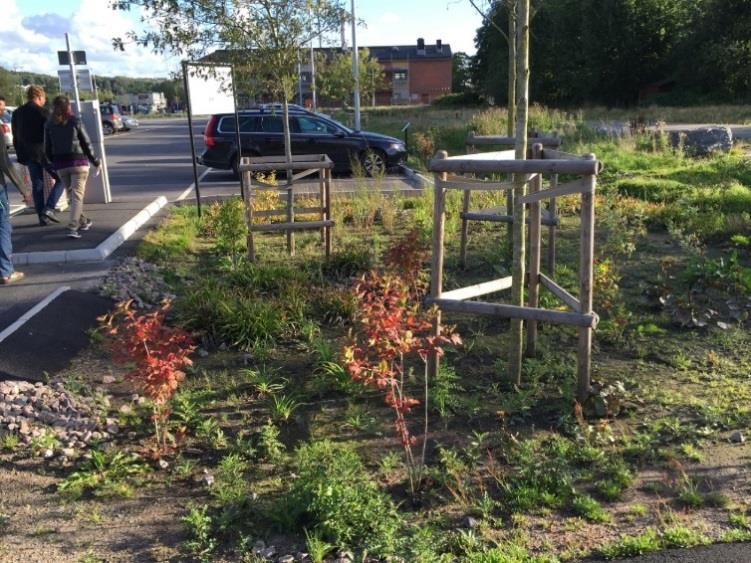 Figur 2. Biofilteranläggningen i Kviberg september 2016 (Foto: Tove Lindfors, Sweco).
