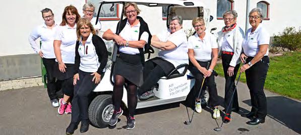Damkommittén Damkommittén består av dessa sköna ladies: Camilla Lundh, Carina Herbst, Britt Rönngard, Agneta Bjuväng, Kristina